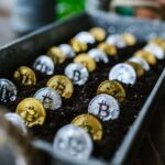 Geld mit Bitcoin durch Investitionen verdienen