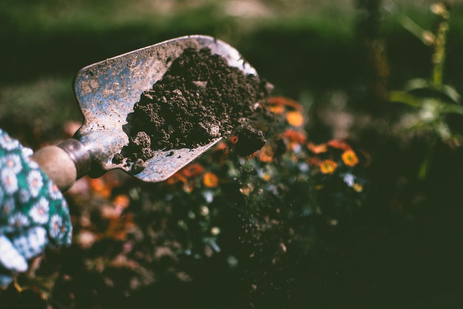 "Mit Garten Geld verdienen - Ideen und Tipps"