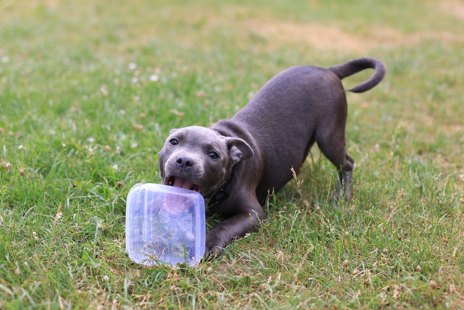  Geld verdienen mit Tupperware